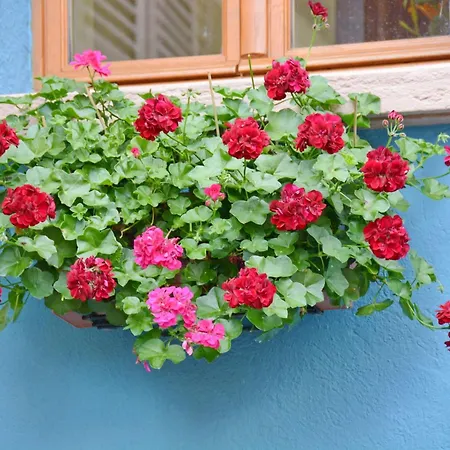 Holiday home La Maison Bleue Im Zentrum Des Elsass In By Interhome