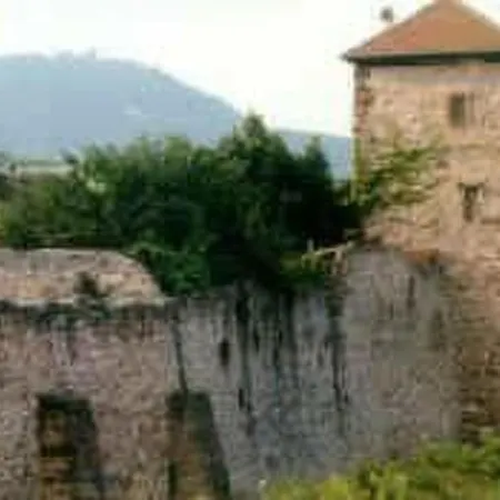 La Maison Bleue Im Zentrum Des Elsass In By Interhome