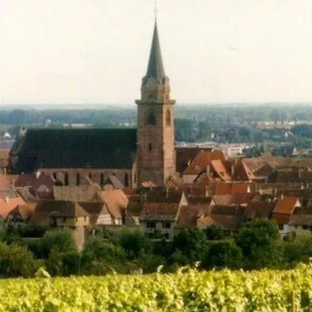Ferienhaus La Maison Bleue Im Zentrum Des Elsass In By Interhome Bergheim
