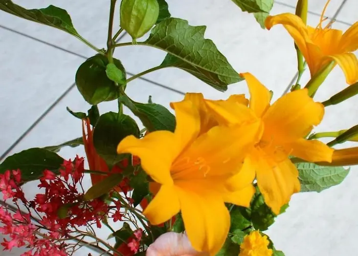 La Maison Bleue Im Zentrum Des Elsass In By Interhome *