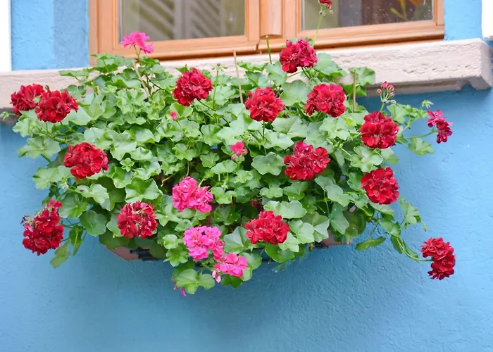 Holiday home La Maison Bleue Im Zentrum Des Elsass In By Interhome