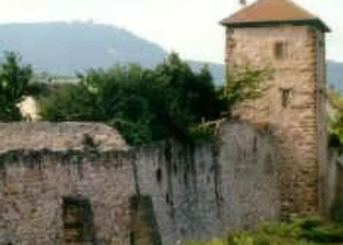 La Maison Bleue Im Zentrum Des Elsass In By Interhome